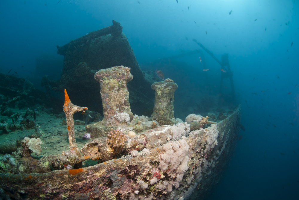 VIDEO: World's Deepest Shipwreck Uncovered: Explore The WWII US Navy ...