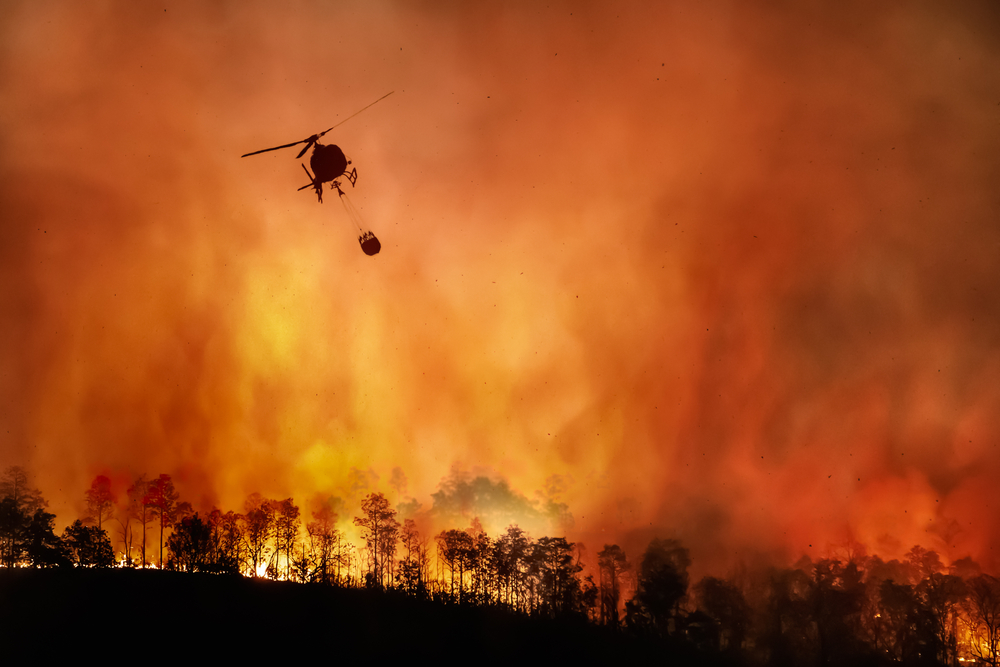 how-conservationists-are-working-to-stop-california-wildfires-it-s