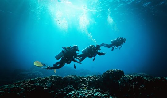 (WATCH) Divers in Bahamas Find 17th Century Jewels and Buried Treasure ...